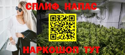 эйфоретик Будённовск